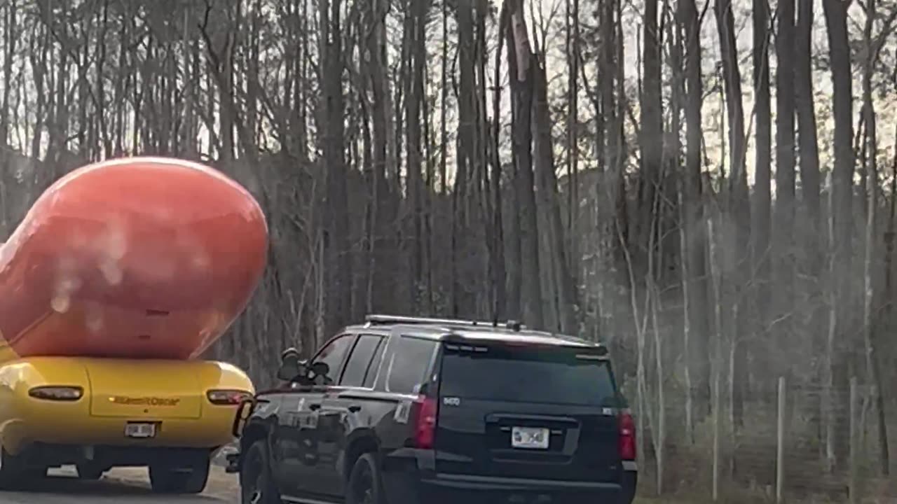 Sausage-Shaped Automobile Gets A Misdewiener