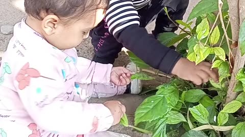 Twin's babies playing with 🌱