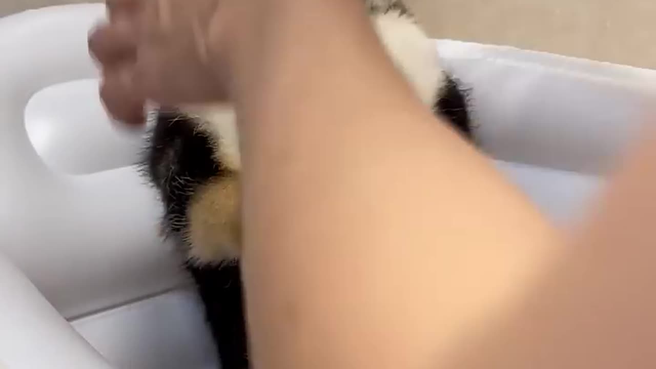 SPA Day #01