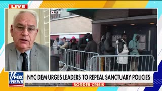 NYC Democrat urges officials to end 'sanctuary' policies_2