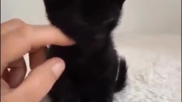 A little cold.