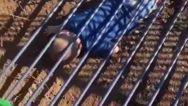 Funny Videos
