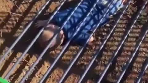 Funny Videos