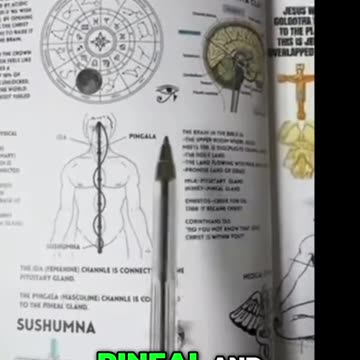 Unlocking Kundalini: Illuminate Your Mind and Body