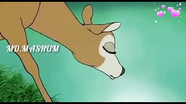 Animal love for man children