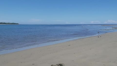 Up Close at The Beach-Fiji