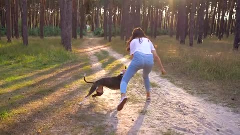 Funny dog