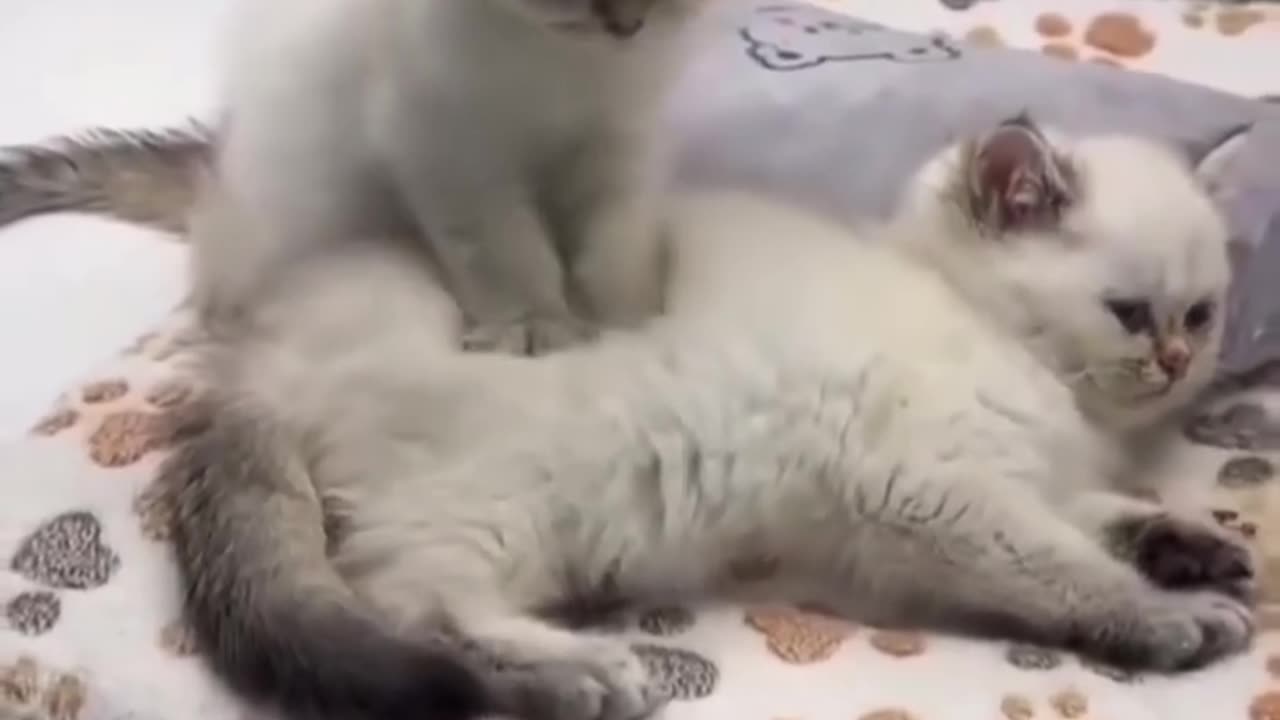So Adorable 😍🥰