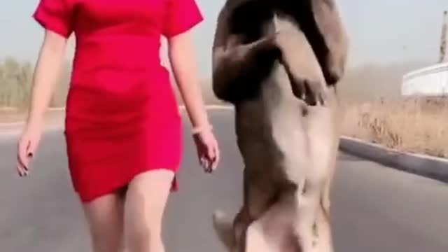 Ai đi được như tôi không