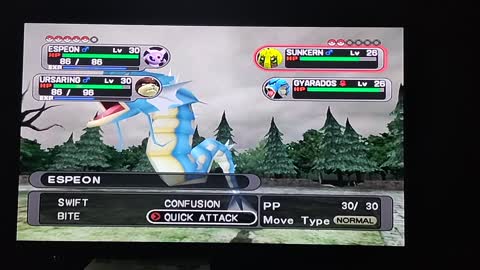 Pokemon XD Gale of Darkness:Chobin's Modesty