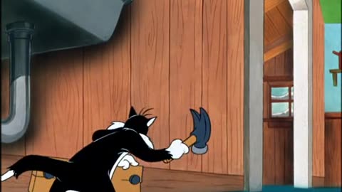 Saturday Morning Cartoon