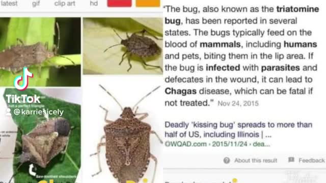 Chagas’ disease