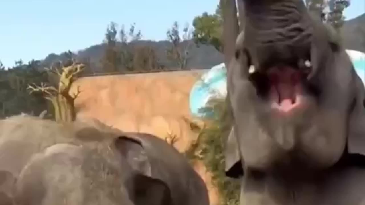 TRY NOT TO LAUGH 😆 Best Funny Videos Compilation 😂😁😆