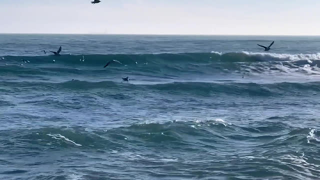 A view of the sea