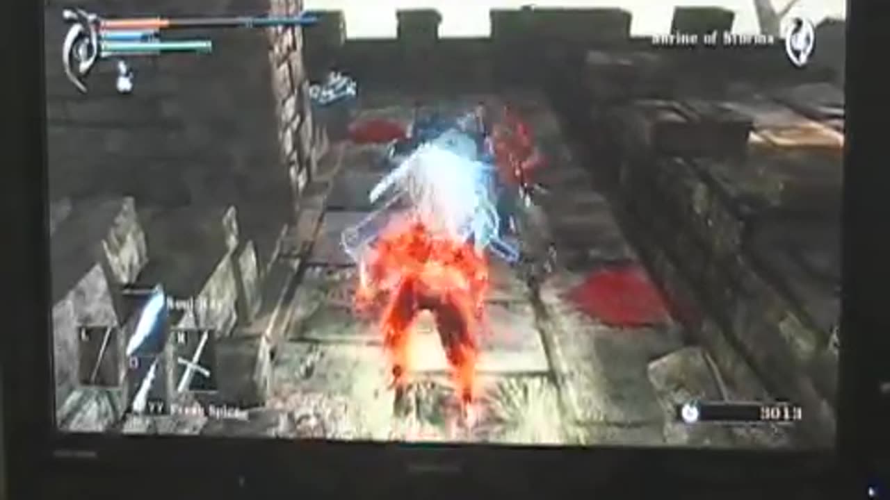 FARMING THE CROW FOR COLORLESS DEMON'S SOULS (Censored by Youtube)