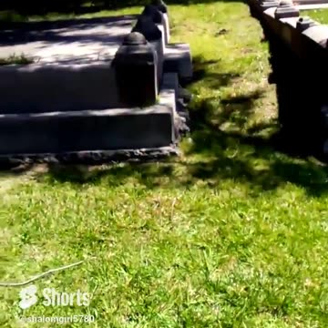 Human Trafficking/Casualty