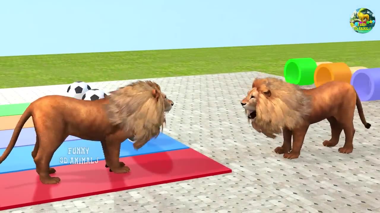 Guess The Right Button Game With Elephant Gorilla Buffalo T-rex Lion - Wild Animals Ball Game