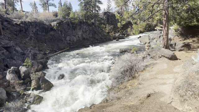 Dillon Falls Canyon Overlook Zone – Deschutes River – Central Oregon – 4K