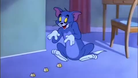 Tom and Jerry - Nit-Witty Kitty