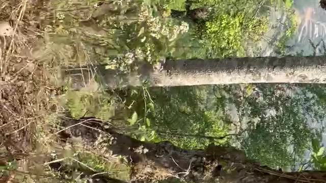 The Natural scenery of Nepal!