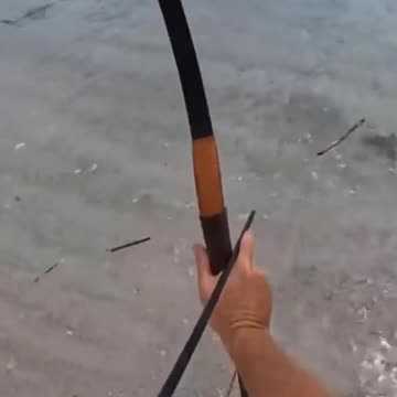 Fishing and Survival