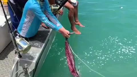 Big fish catch