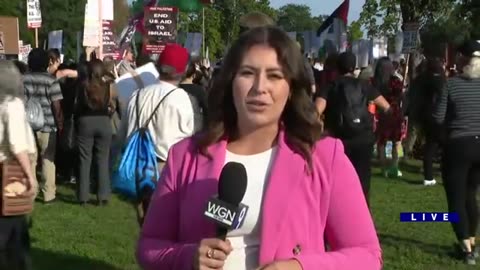 Protestors gather at Union Park on final day of the DNC in Chicago