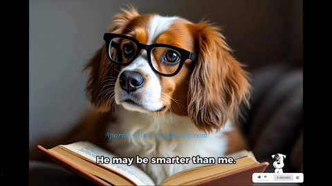 My Dog Is Smarter Than Me 🐕