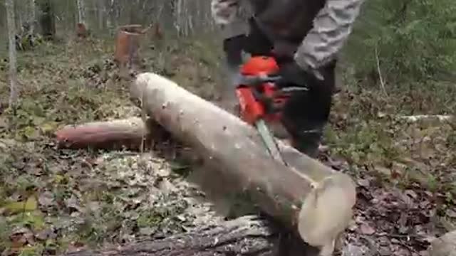 Building a log cabin