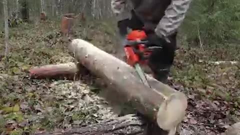 Building a log cabin