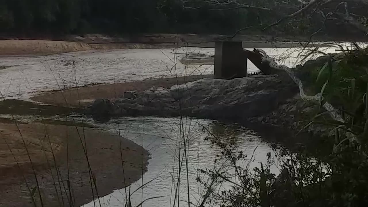 30.10.2024 The Barron River, Kuranda (2)