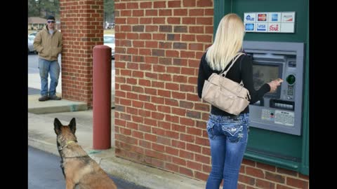 german shepherd protecting girls at atm