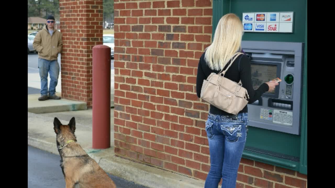 german shepherd protecting girls at atm