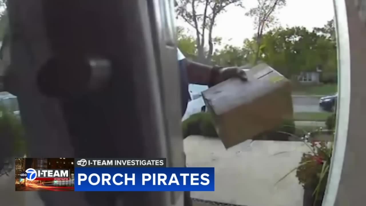 FedEx driver wins tug of war with would-be thief over package on porch