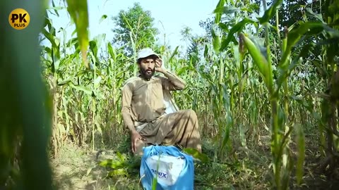 Da Ghal Anjam Funny Video By Pk Plus Vines 2023#pkplusvines