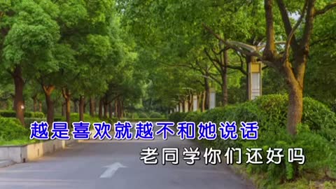 老同学 唱给你听