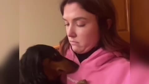 Give your dog a kiss and see what happens