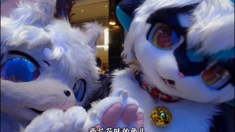 Furry Douyin #41