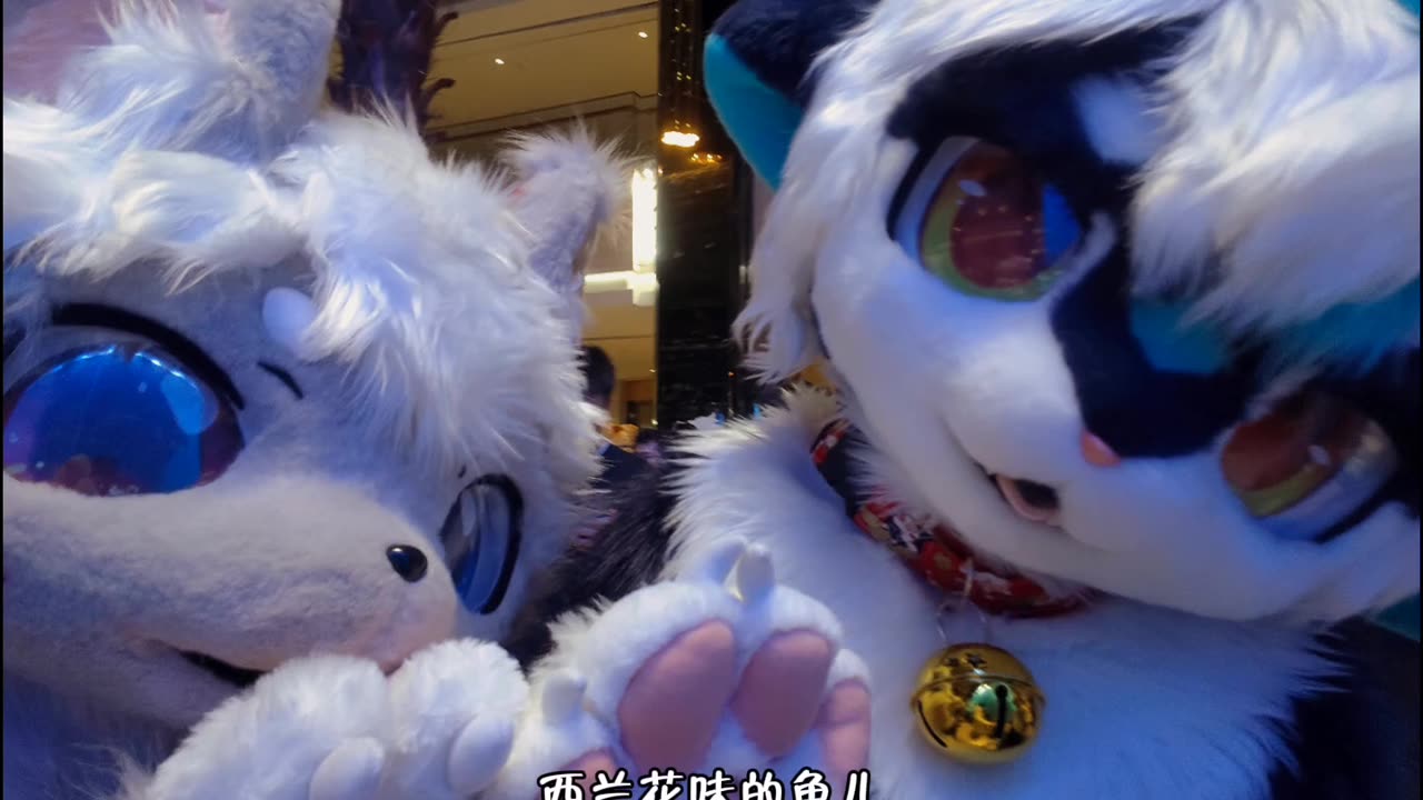 Furry Douyin #41