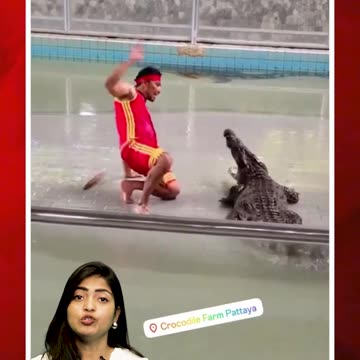 మొసలి నోట్లో చేయి పెడితే..? #viral #crocodilevideo #mustwatch #ytshorts | FBTV NEWS