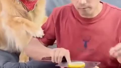 It Was So Sour #shorts #viral #shortsvideo #video