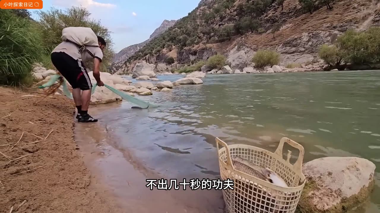 can you catch hundreds of fish with one net??