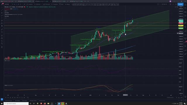 Market Analysis 2/17/2021