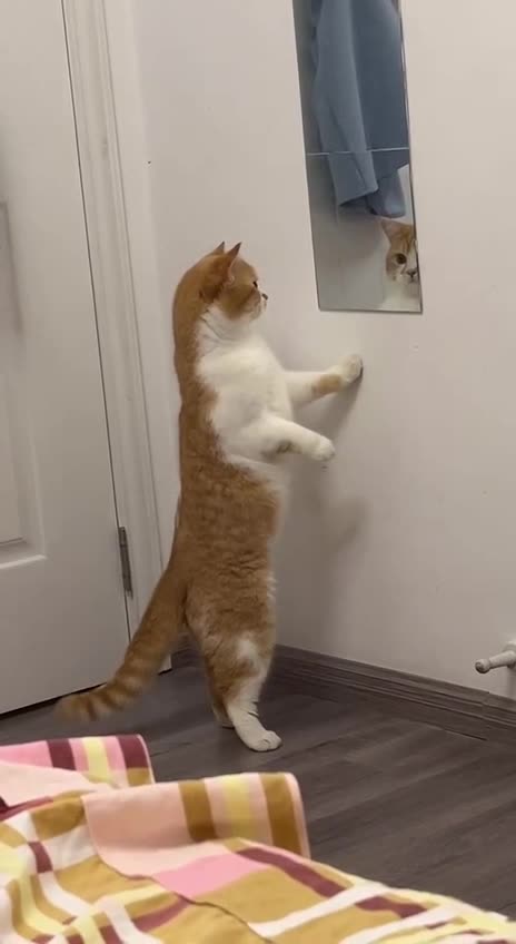 Hey handsome you come here often 😂😂