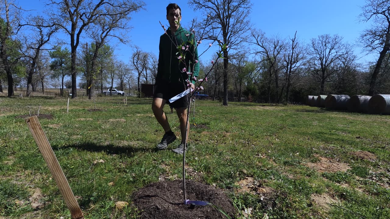 Stoicism Explained In 3 Minutes