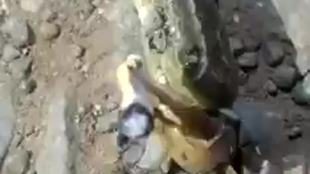 If I tell you that I saw a crab smoking on the boardwalk, you guys will tell me to stop drinking...