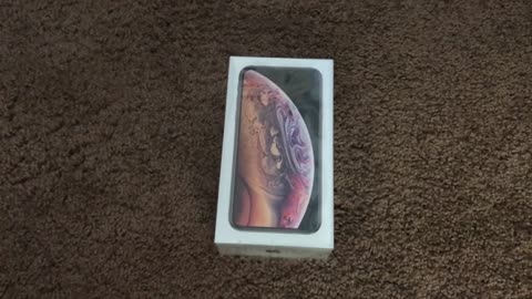 Crazy Lady Yells at me for winning iPhone XS!!