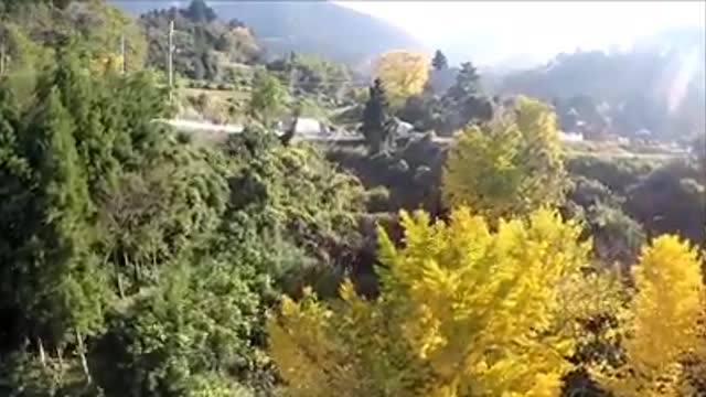 Drone Escape ドローンが田んぼから脱出