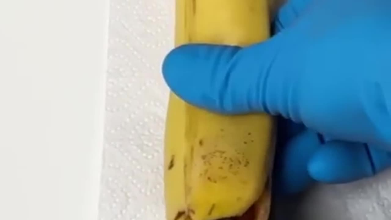 #🍌 Banana gives birth 🤨