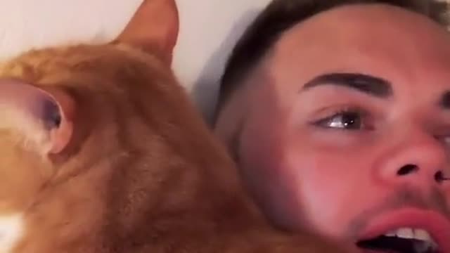 Owner teaches cat to laugh 😂